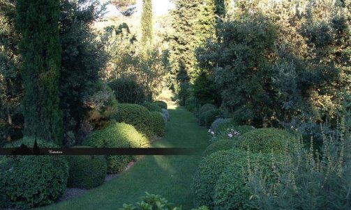 entretien d'espaces verts Saint Rémy de Provence